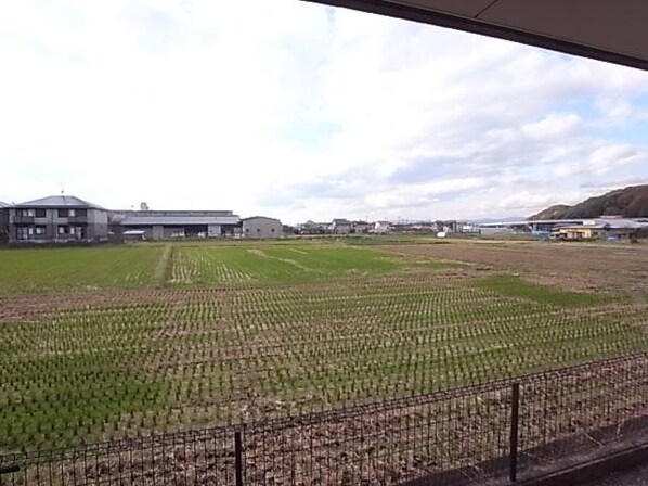 大和朝倉駅 徒歩10分 1階の物件内観写真